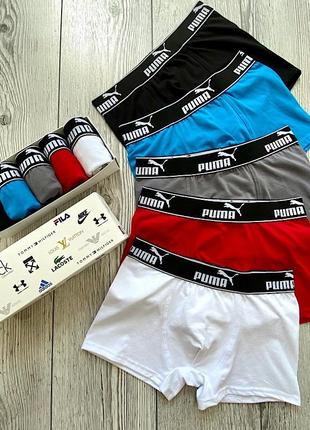 Труси (5 шт) в коробці чоловічі набір подарунок боксери комплект чоловіча білизна