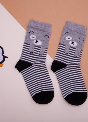 Шкарпетки для хлопчика в смужку з ведмедиком носки для мальчика в полоску с мишкой высокие високі