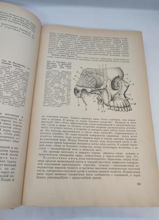 Книга книжка анатомия человека под редакцией профессора с. с. михайлова 19734 фото