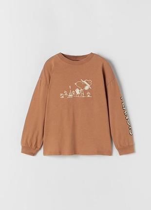 Реглан zara