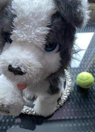Furreal dog ricky hasbro собака іграшка інтерактивна друг песик для дитини3 фото