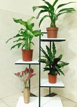 Підставка для квітів, вазонів, стиль лофт, стійка для кімнатних рослин, стелаж полиця2 фото