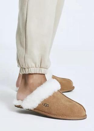 Шкіряні утеплені тапочки з хутром ugg 38 р. оригінал тапки на овчині