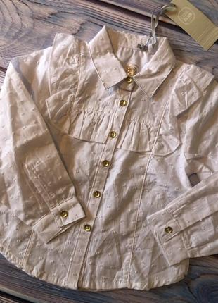 Белая рубашка, рубашка, блузка