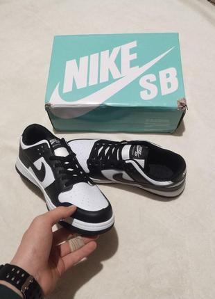 Nike dunk sb low pro