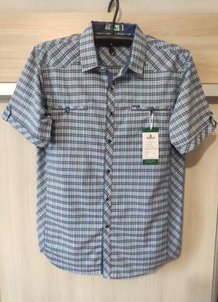 Теніски, рубашки