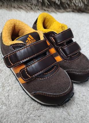 Кросівки adidas1 фото