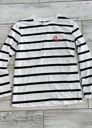 Стильный реглан лонгслив zara calliope