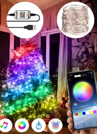 Новогодняя умная светодиодная гирлянда 100led на 10м bluetooth rgb / led гирлянда і