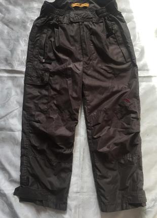 Спортивні штани