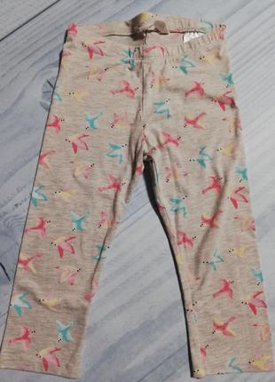 Лосини, легінси н&m на 5-6-7 років