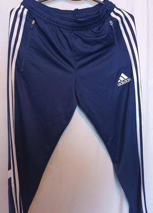 Мужские спортивные штаны adidas1 фото