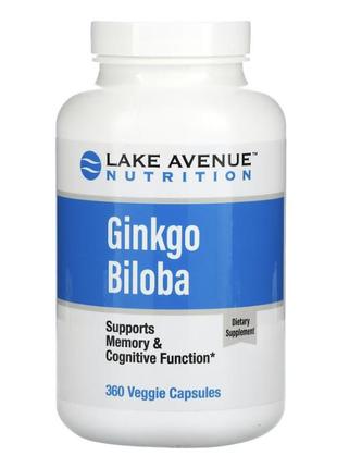 Ginkgo biloba, гінкго білоба, 120 мг, 360 капсул