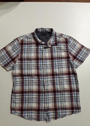 Фірмова бавовняна сорочка l