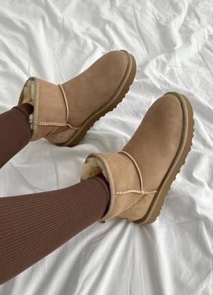 Ugg classic mini brown premiun