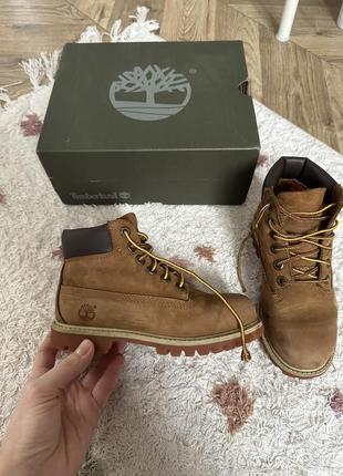 Черевики дитячі timberland