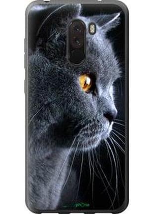 Чехол на xiaomi pocophone f1 красивый кот "3038t-1556-2448"