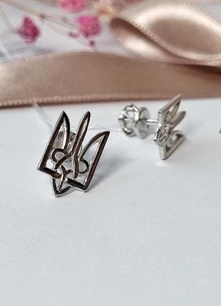 Серебряные серьги гвоздики на закрутках трезуб без камней серебро 925 пробы родированное 54444р 1.80 г