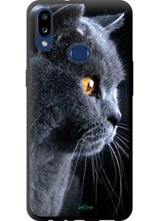 Чохол на samsung galaxy a10s a107f гарний кіт "3038b-1776-2448"