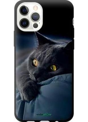 Чохол на iphone 12 димчастий кіт "825b-2053-2448"