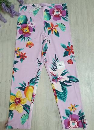 Лосины олд неви