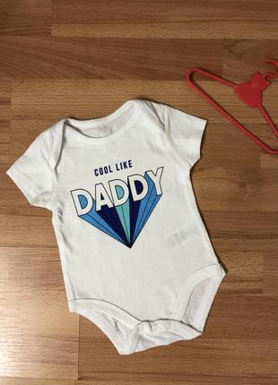 Боди, бодик