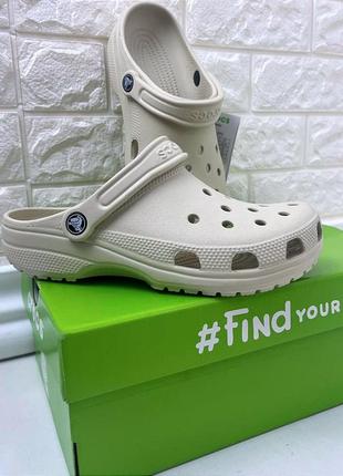 Crocs classic bone кроксы сабо унисекс беж топ продаж1 фото