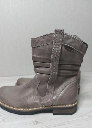 Gattino 32 размер 2