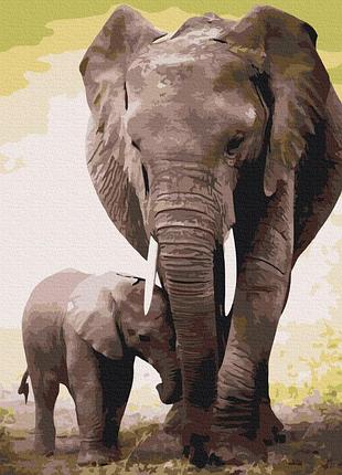 Первые дни слоненка