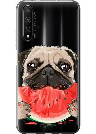 Чехол на huawei nova 5t мопс и арбуз "4665u-1833-10746"1 фото