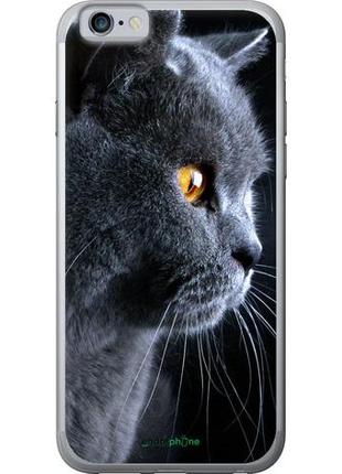 Чехол на iphone 6s красивый кот "3038u-90-10746"