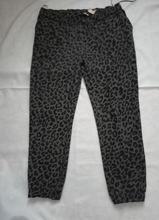 Леопардовые брюки, лосины1 фото