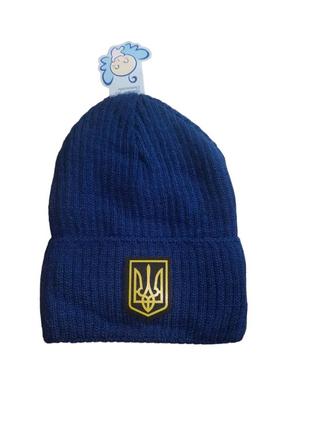 Детская и подростковая шапка на мальчика "герб украины"