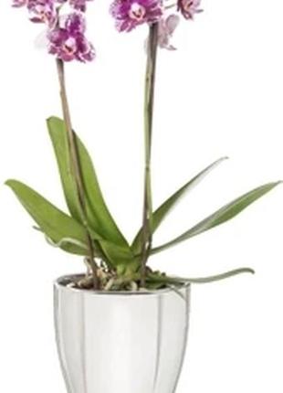 Кашпо для орхідей scheurich "mirror silver" 13", дзеркальний3 фото