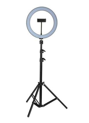 Ring light 2 meter discount