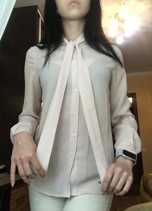 Блуза пудровая4 фото