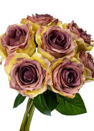 Букет роз, фиолетовый