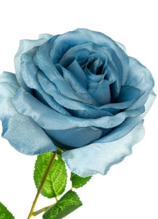 Роза, голубая2 фото