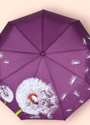 Зонт женский  полуавтомат на 9 спиц,susino  (645); 7500043356984