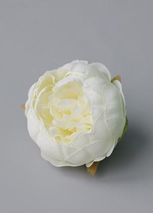 Штучна квітка півонія, колір айворі, 10 см. квіти преміум-класу для інтер'єру, декору, фотозони1 фото