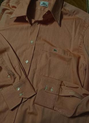 Брендова фірмова рубашка сорочка lacoste,оригінал,нова,розмір l-xl(43).2 фото