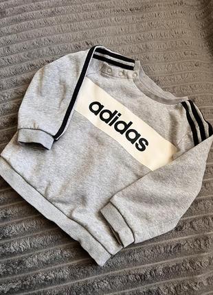 Спортивна кофта adidas