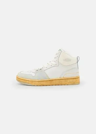 Хайтопи Sort lacoste