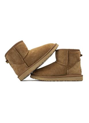 Уггі угги угг ugg mini ginger3 фото