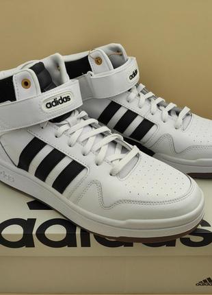 Adidas bb7208 sale