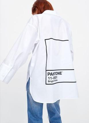 Стильна сорочка zara pantone3 фото