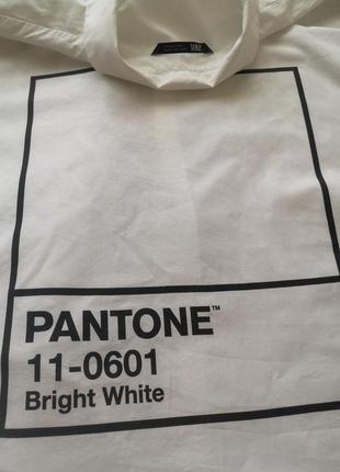 Стильна сорочка zara pantone8 фото