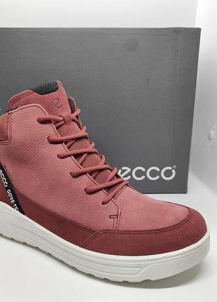 Кожаные ботинки ecco gore tex оригинал