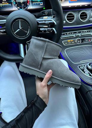 Жіночі уггі ugg classic playoffs grey міні сірого кольору