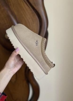 Неймовірні ugg tazz platform замшеві